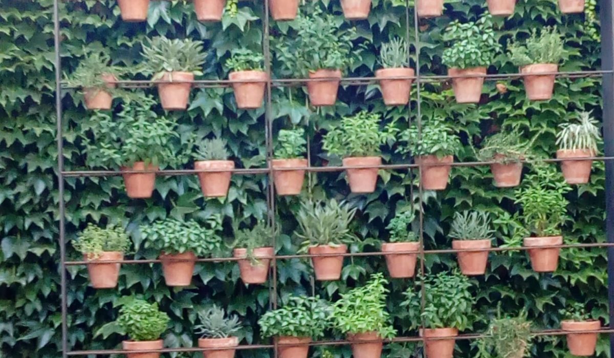 SOPORTE MACETAS HOTEL AC CIUDAD DE TUDELA